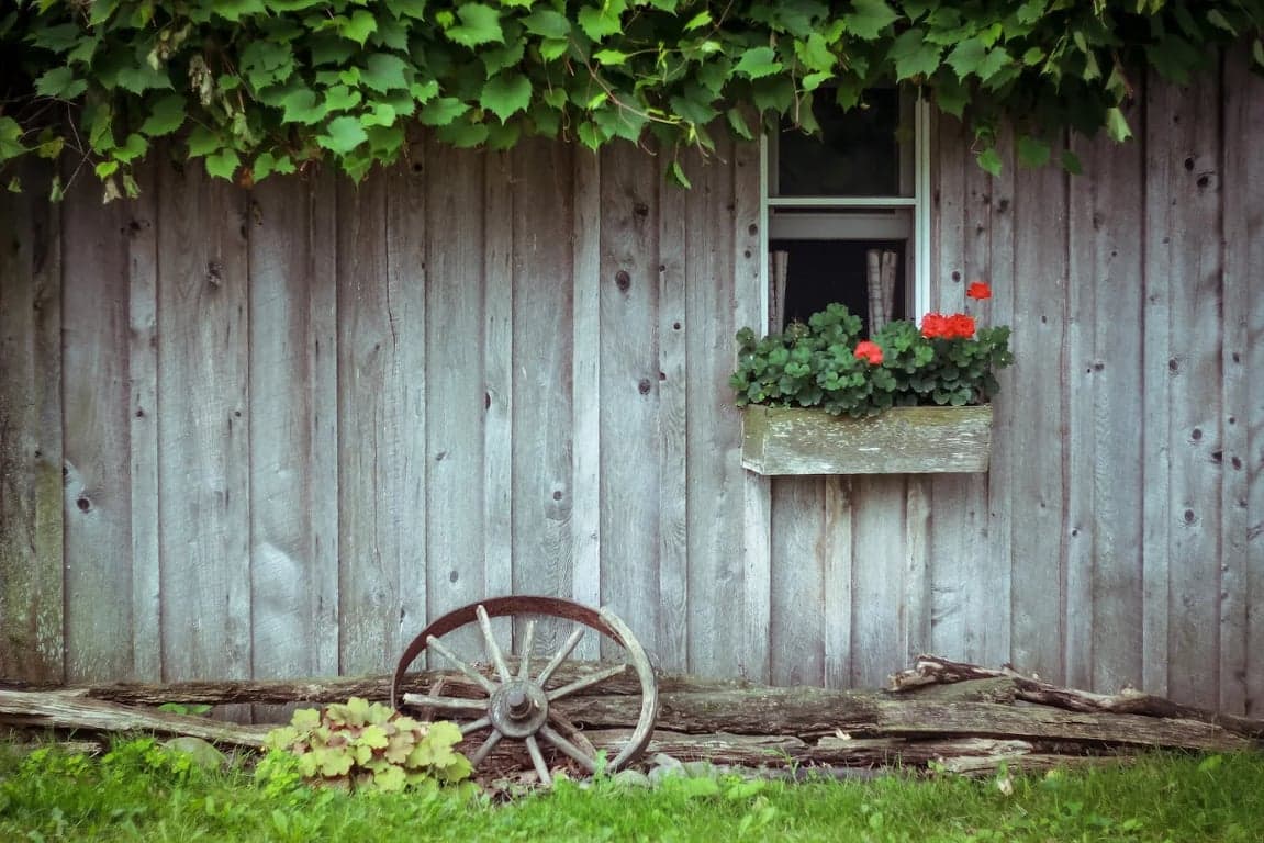 Studio window and flower box